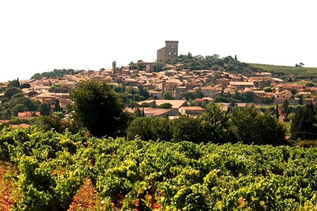 Le Mas De L'Amandier Saint-Saturnin-lès-Avignon