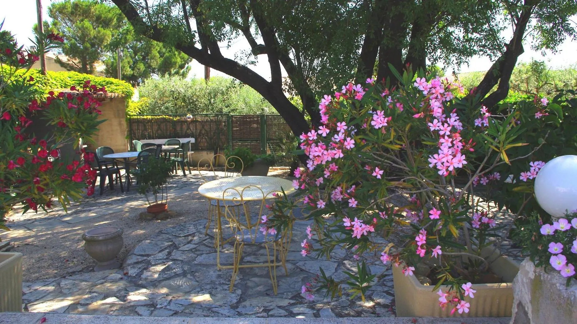 Le Mas De L'Amandier Saint-Saturnin-lès-Avignon Frühstückspension